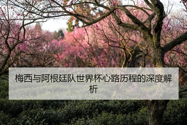 梅西与阿根廷队世界杯心路历程的深度解析